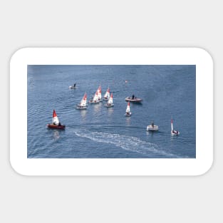 Boat Regatta Sticker